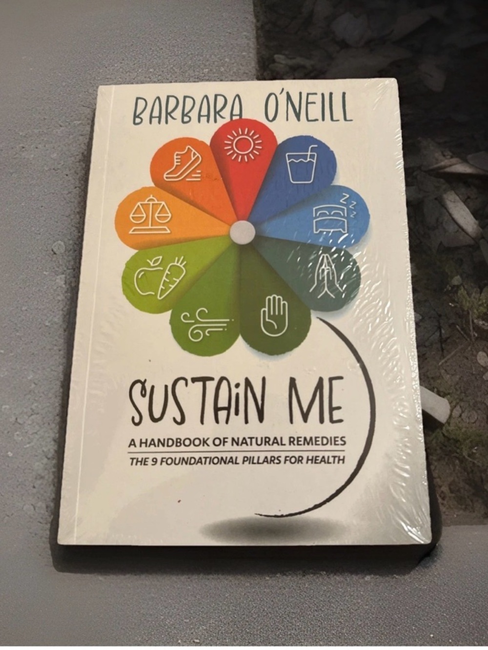 Sustain Me Barbara O'Neill A Handbook of Natural Remedies The 9 Foundational USA